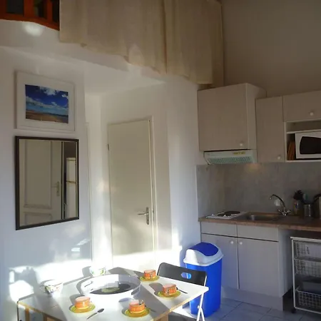 Апартаменты Duplex A 40m De La Avec Garage, Grande Terrasse Et Animaux Acceptes - Fr-1-387-42