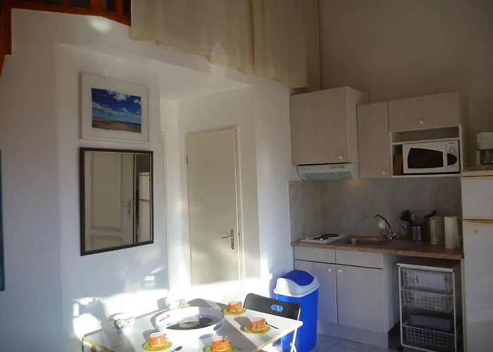 Lejlighed Duplex A 40m De La Avec Garage, Grande Terrasse Et Animaux Acceptes - Fr-1-387-42