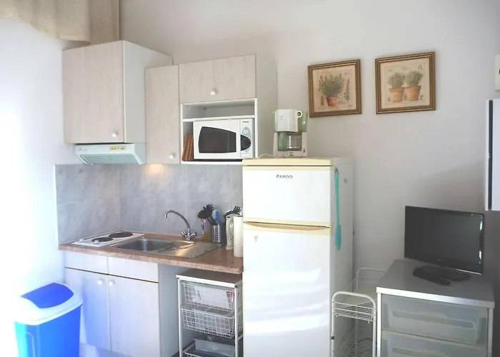 Duplex A 40m De La Avec Garage, Grande Terrasse Et Animaux Acceptes - Fr-1-387-42 Lejlighed Marseillan (Herault)