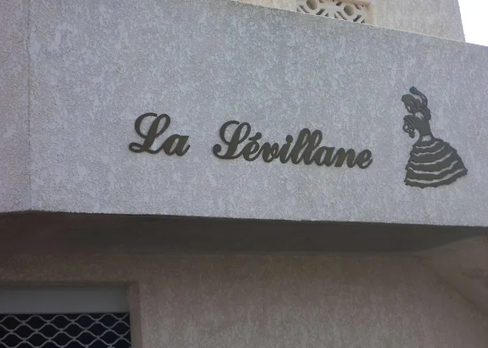 Duplex A 40m De La Avec Garage, Grande Terrasse Et Animaux Acceptes - Fr-1-387-42 * Marseillan (Herault)